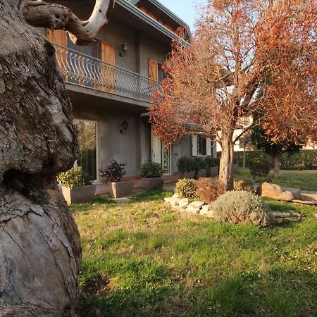 Готель Magnolia Савіньяно-суль-Рубіконе Екстер'єр фото