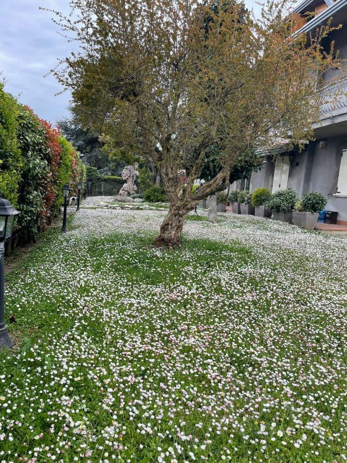 Готель Magnolia Савіньяно-суль-Рубіконе Екстер'єр фото